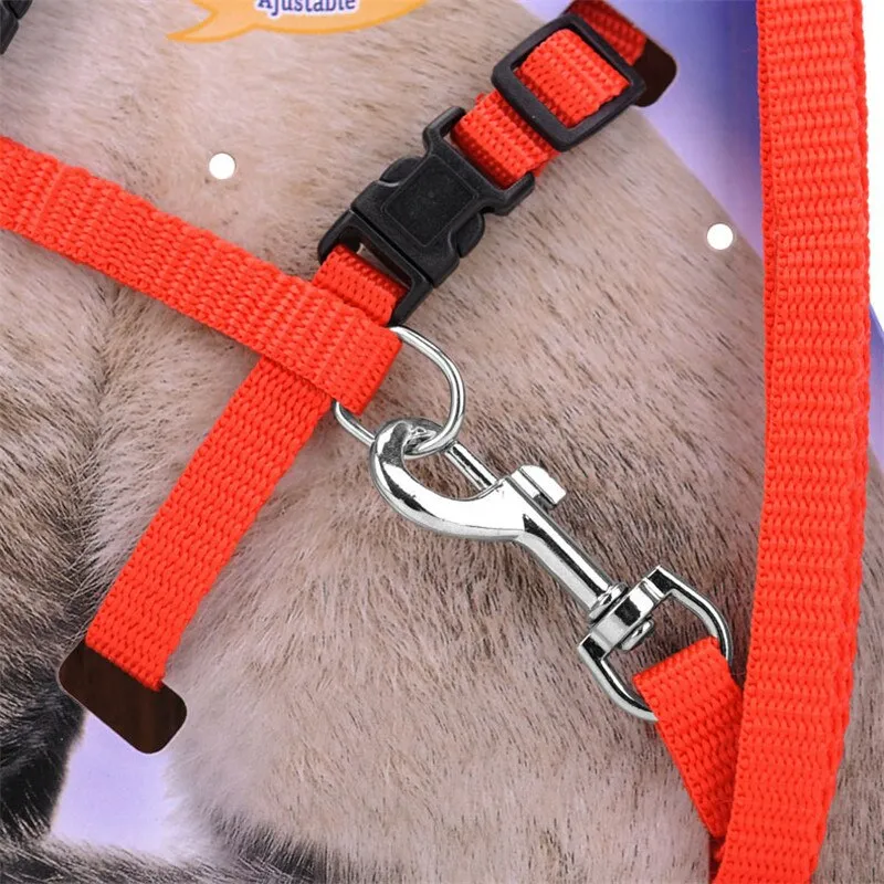 5 Color Adjustable Pet Cat Collar Harness Leash Set