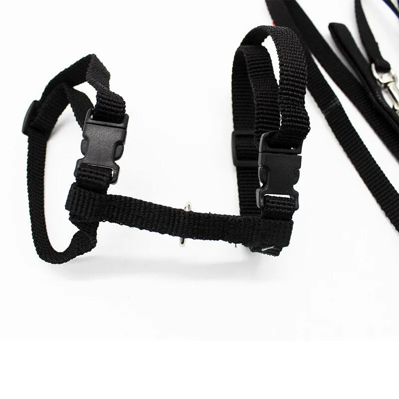 5 Color Adjustable Pet Cat Collar Harness Leash Set