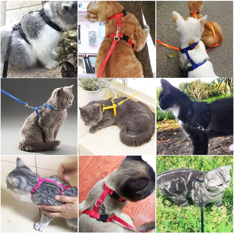 5 Color Adjustable Pet Cat Collar Harness Leash Set