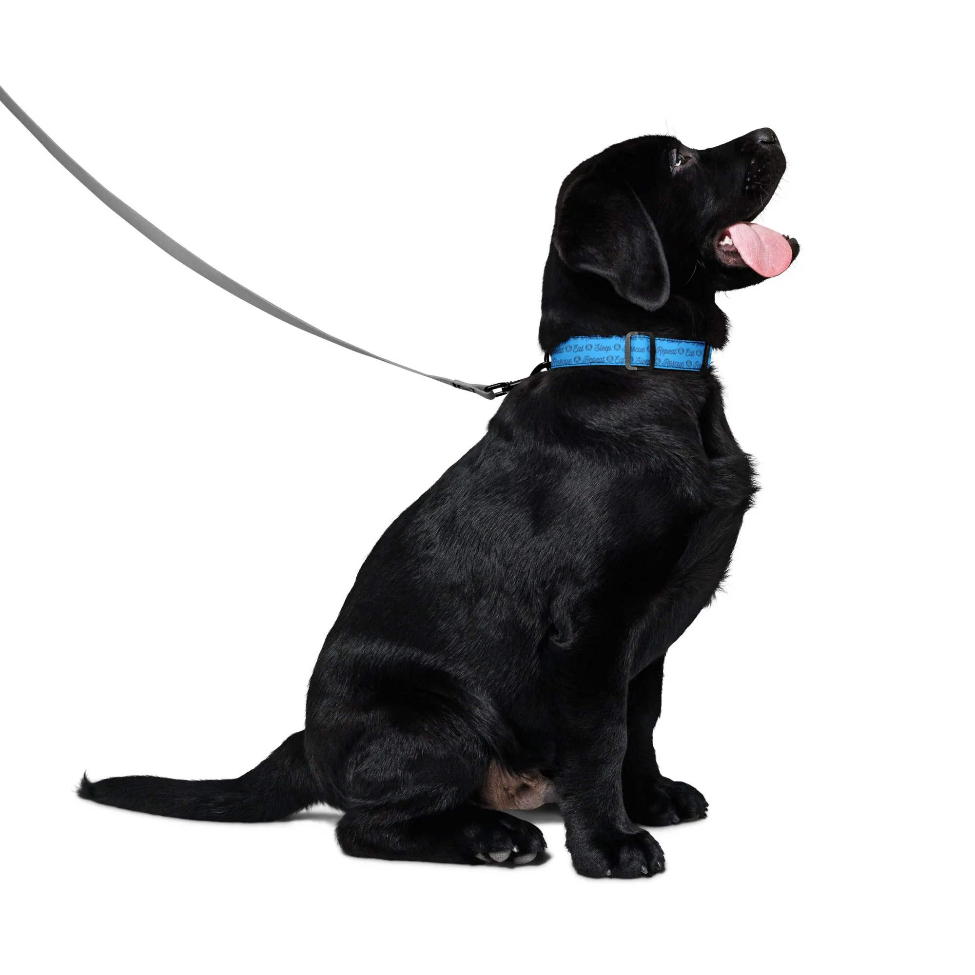 AA Eat Sleep Rescue Repeat Pet collar