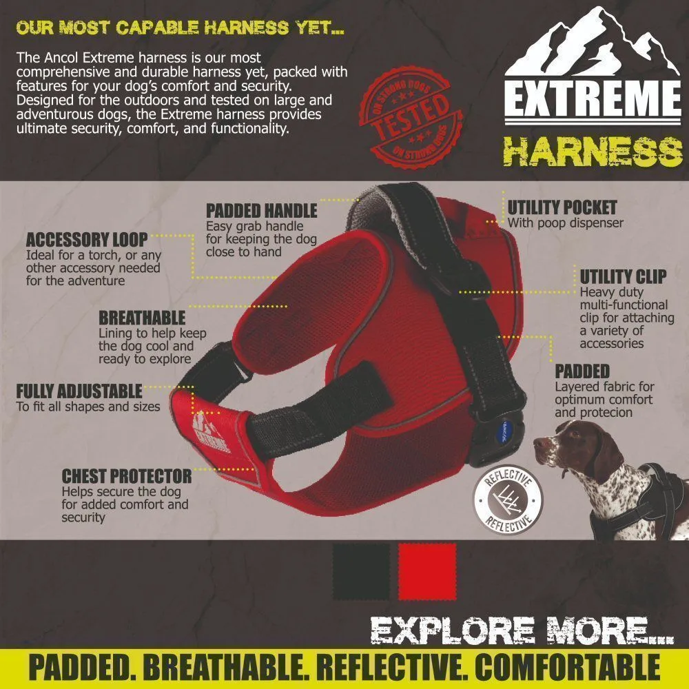 Ancol Extreme Medium Red Harness