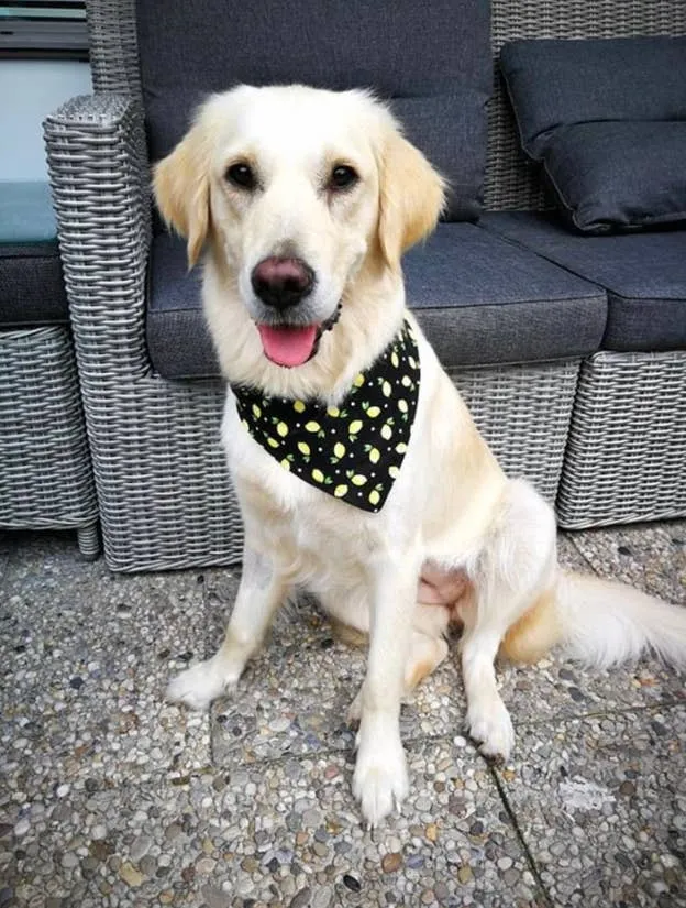 Beach Hut - Eco-Friendly Snap On Bandana - Made in the USA