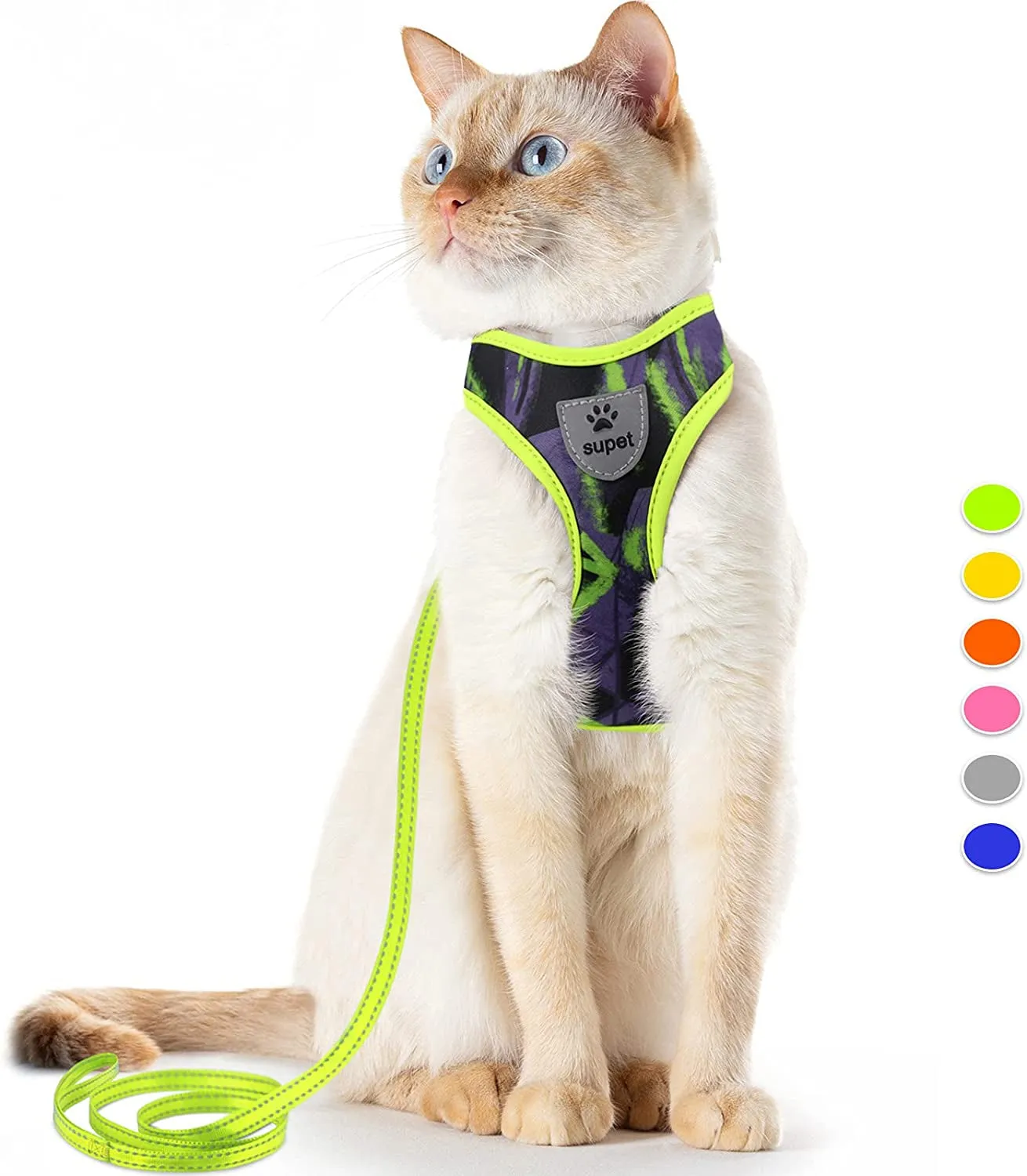 Cat Harness and Leash