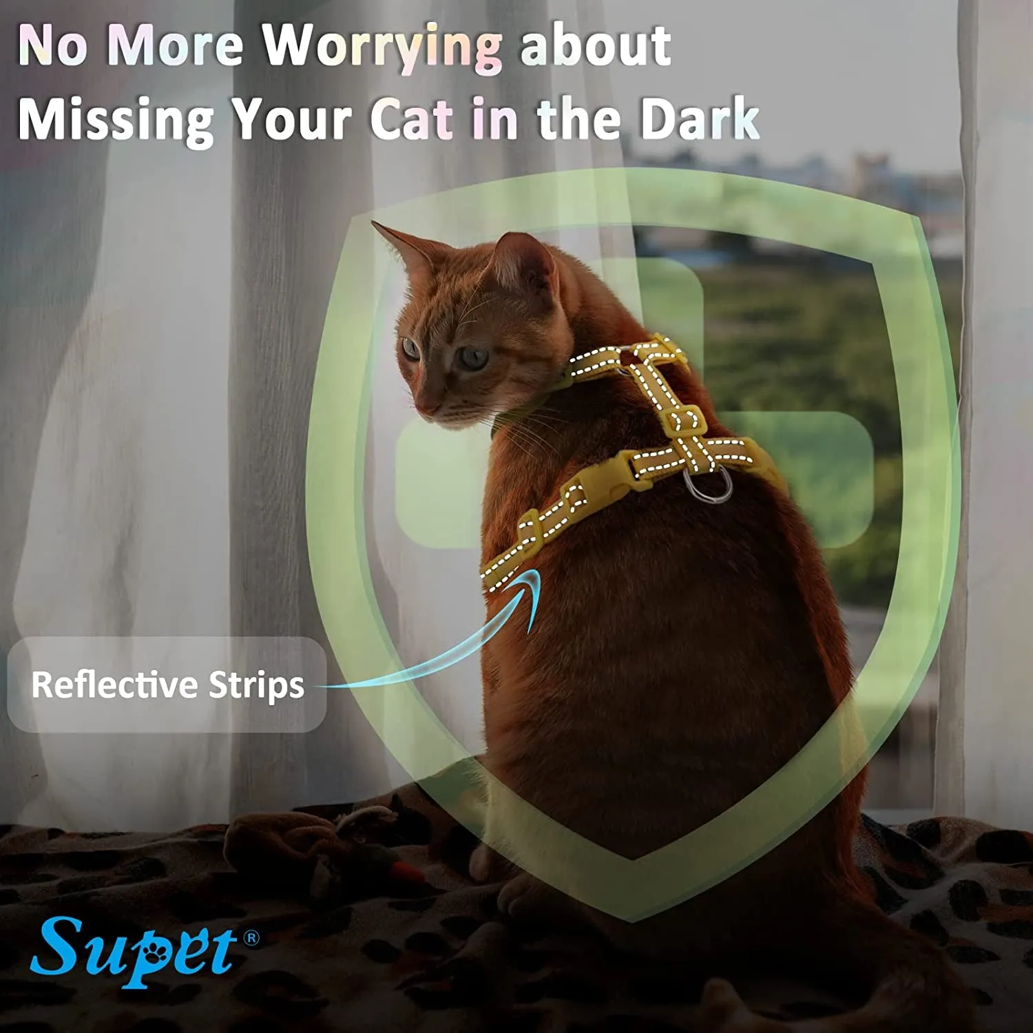 Cat Harness and Leash