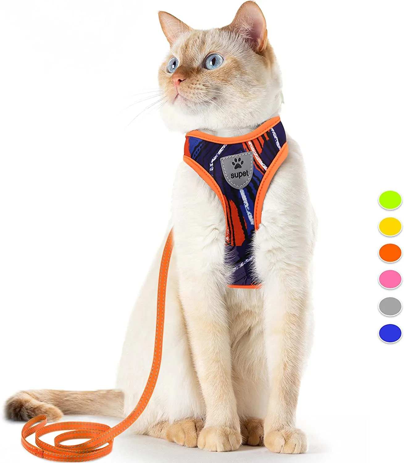Cat Harness and Leash