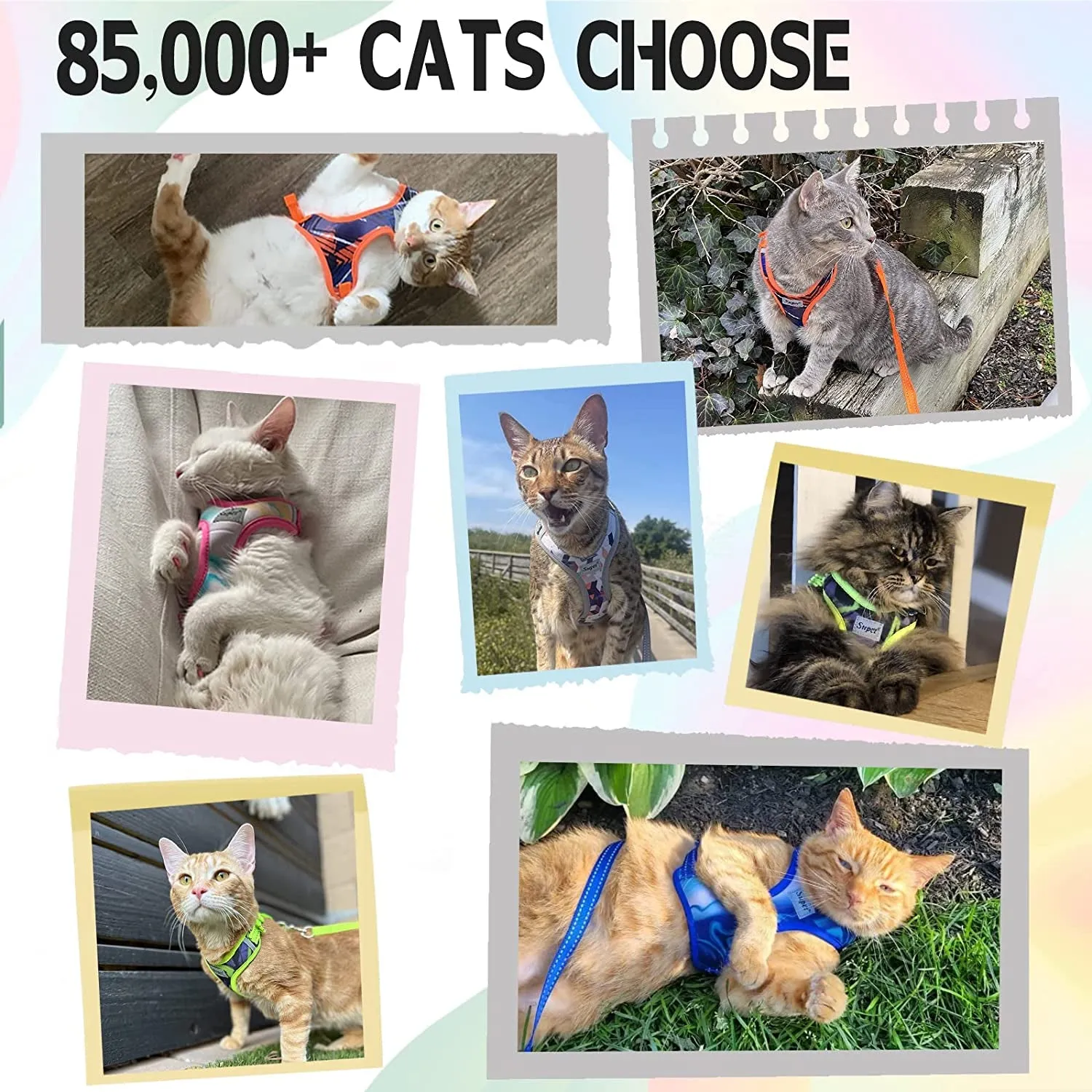 Cat Harness and Leash