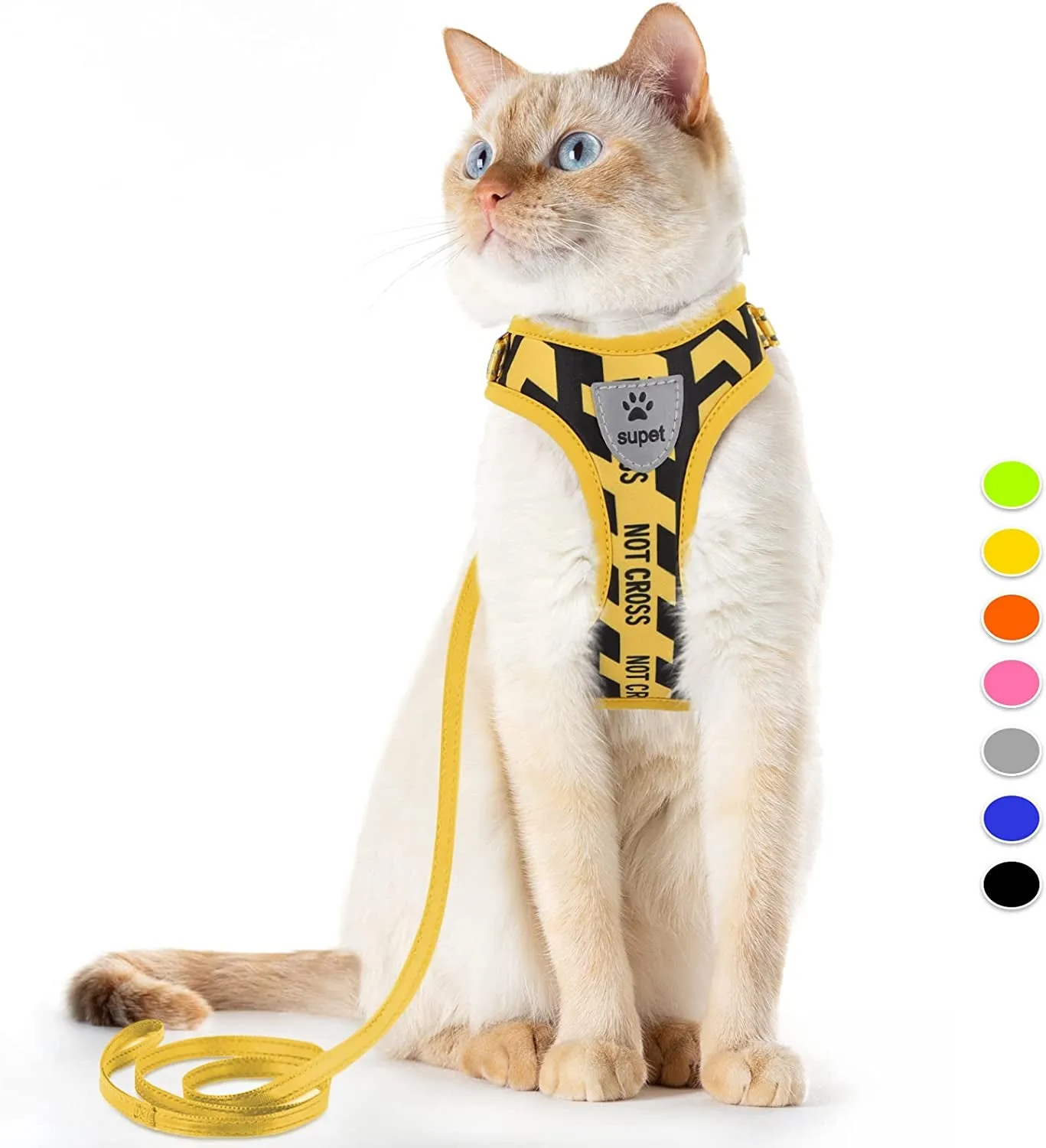 Cat Harness and Leash
