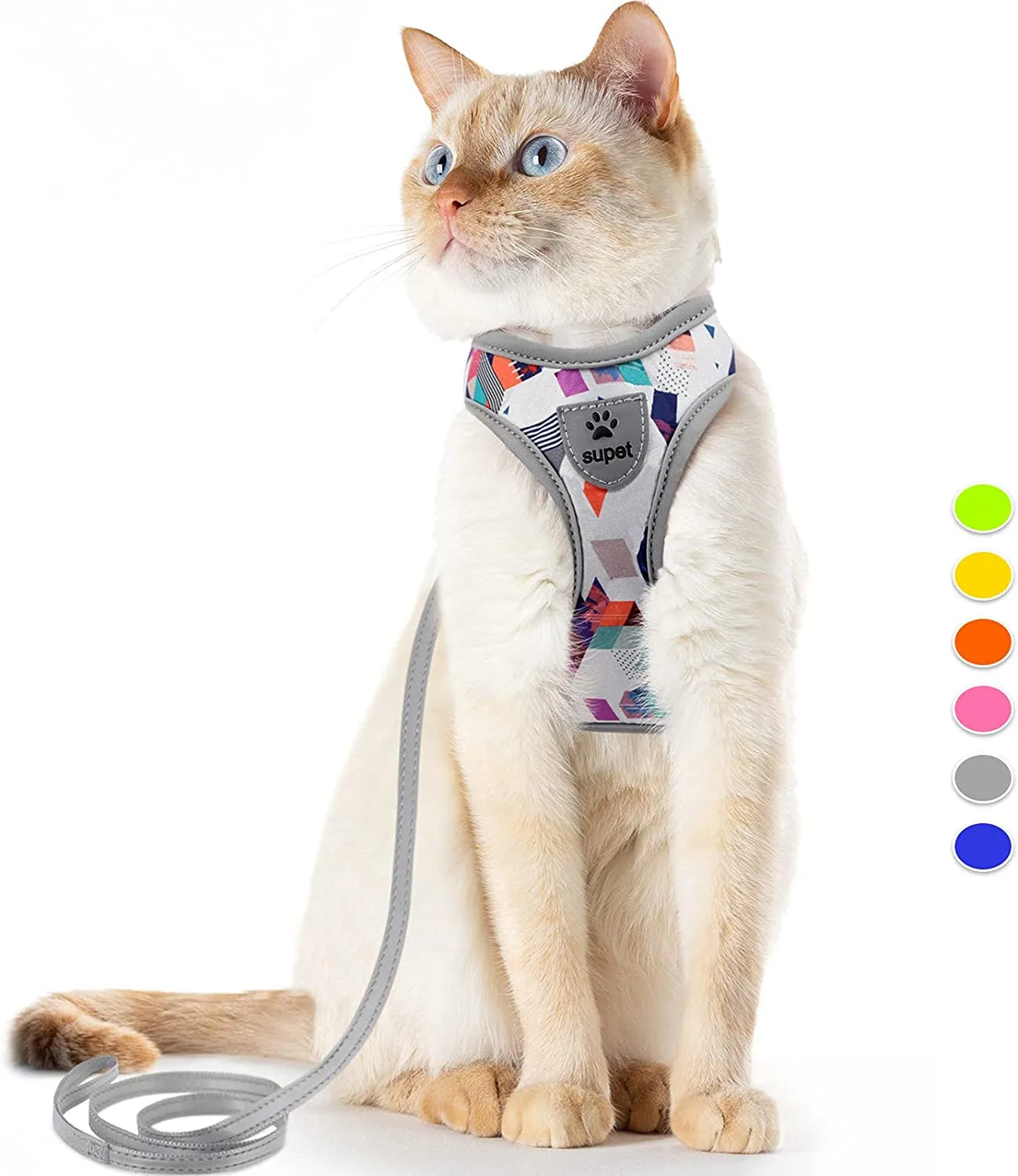 Cat Harness and Leash