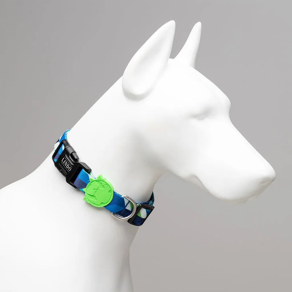 Collar Blue Dream