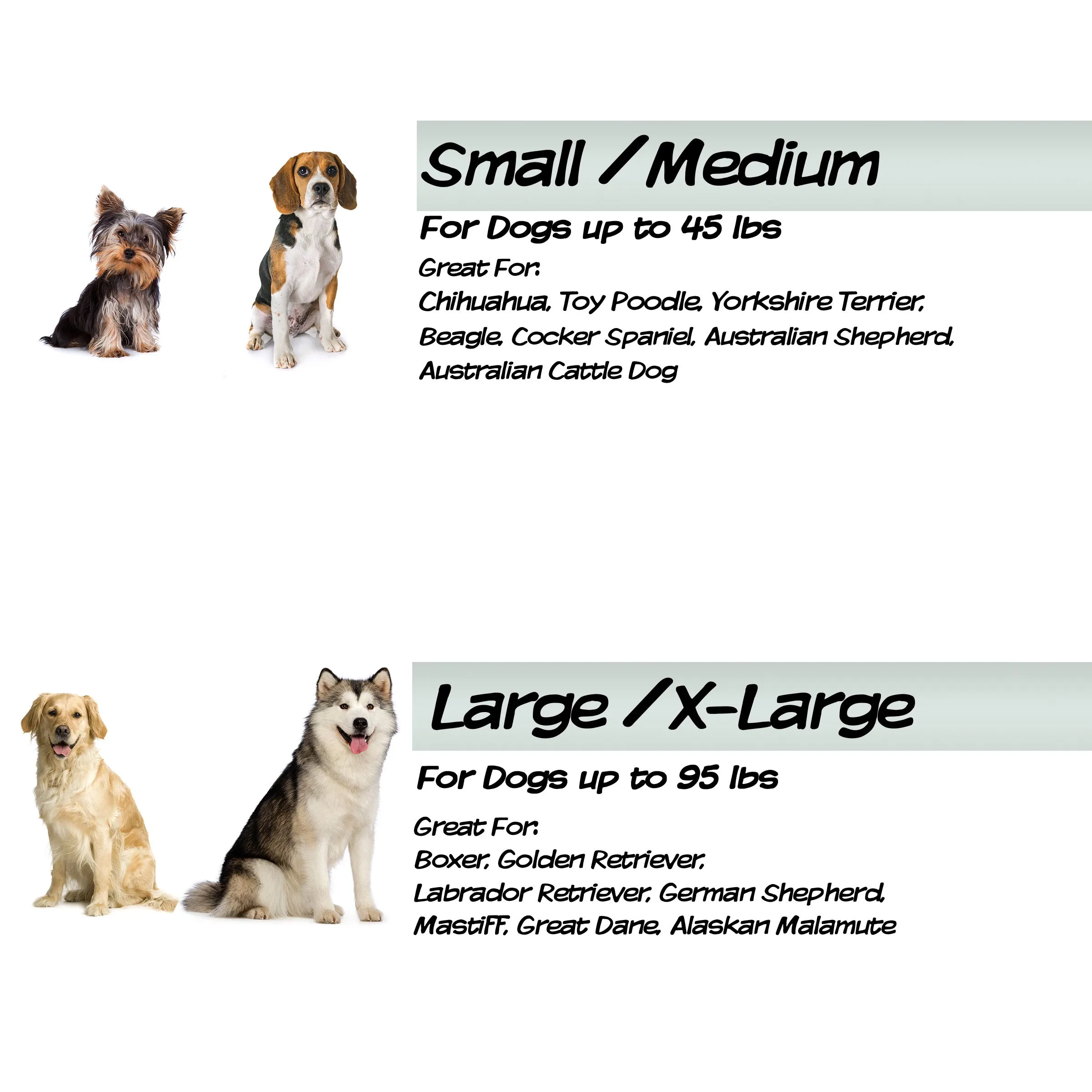 Couch Cover for Dogs