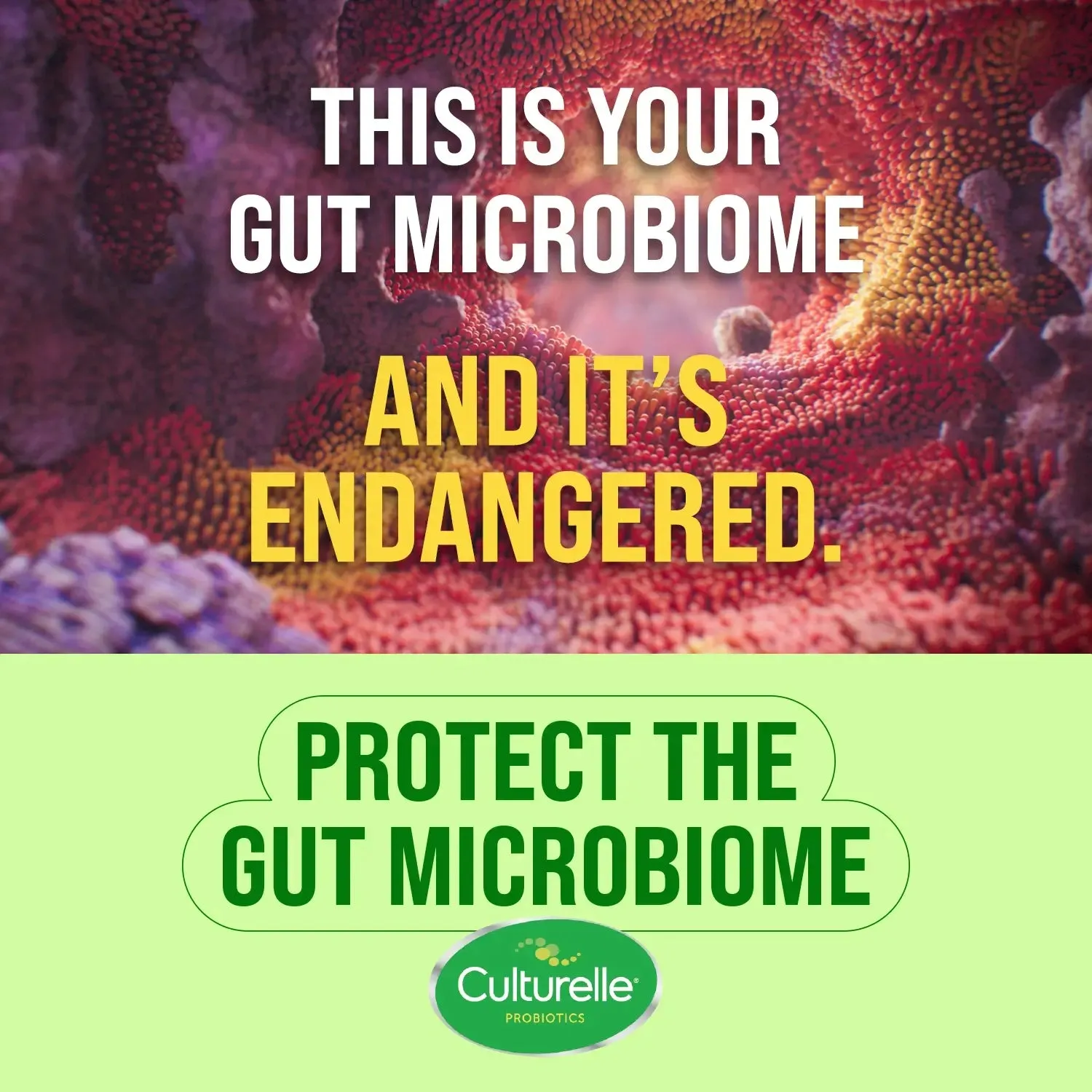 Culturelle® Adult Bundle Pack
