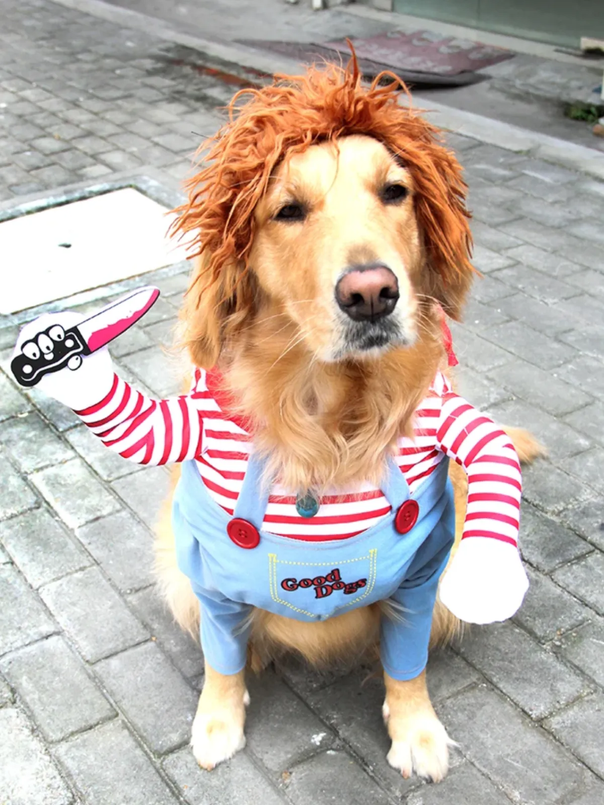Dog Scary Chucky Halloween Costume