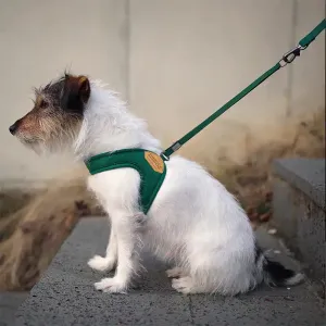 Easy Adjustable Dog Harness