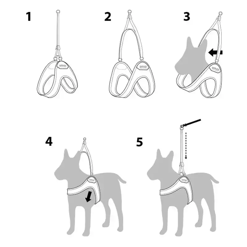 Easy Adjustable Dog Harness