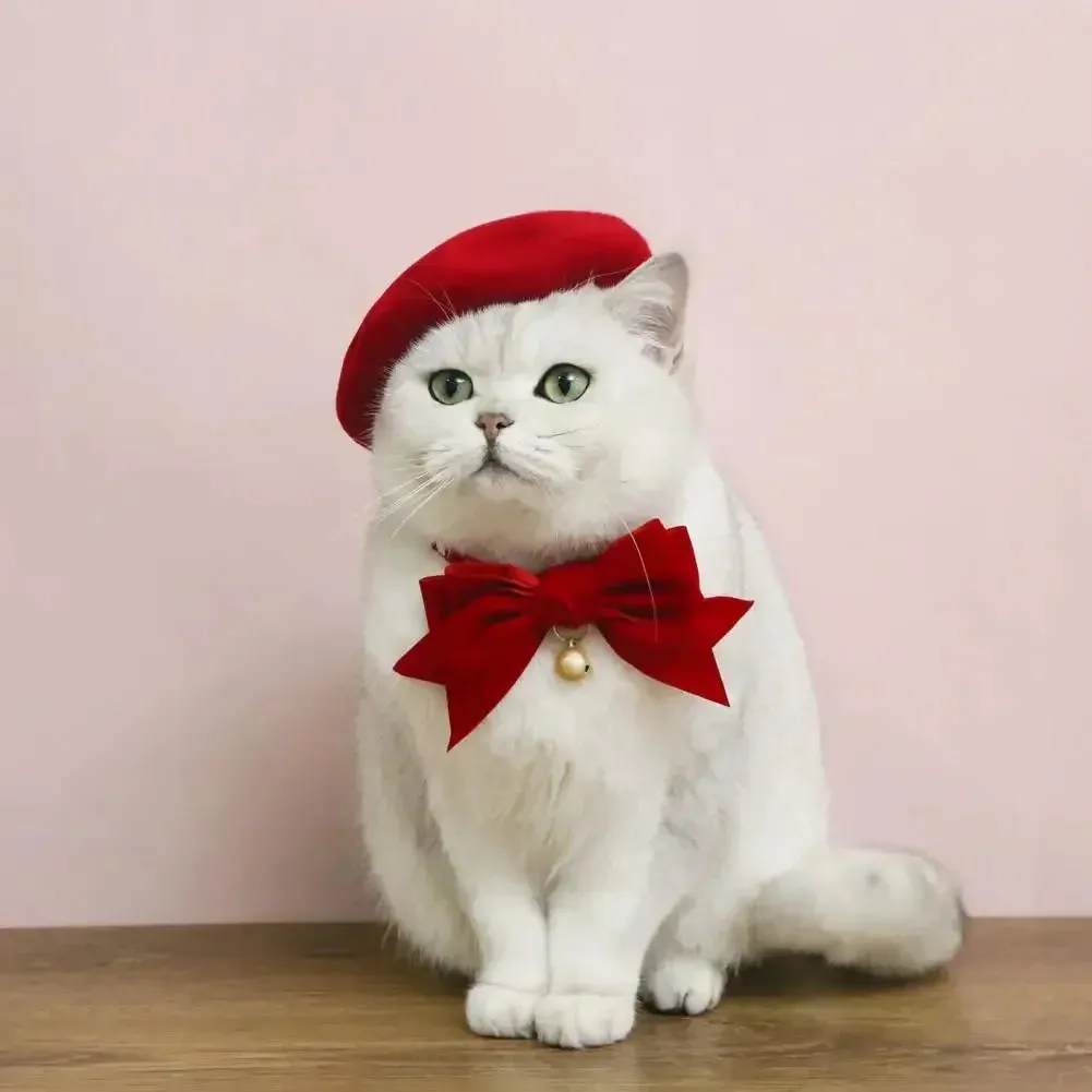 Elegant Velvet Cat Collar with Bowknot and Bell
