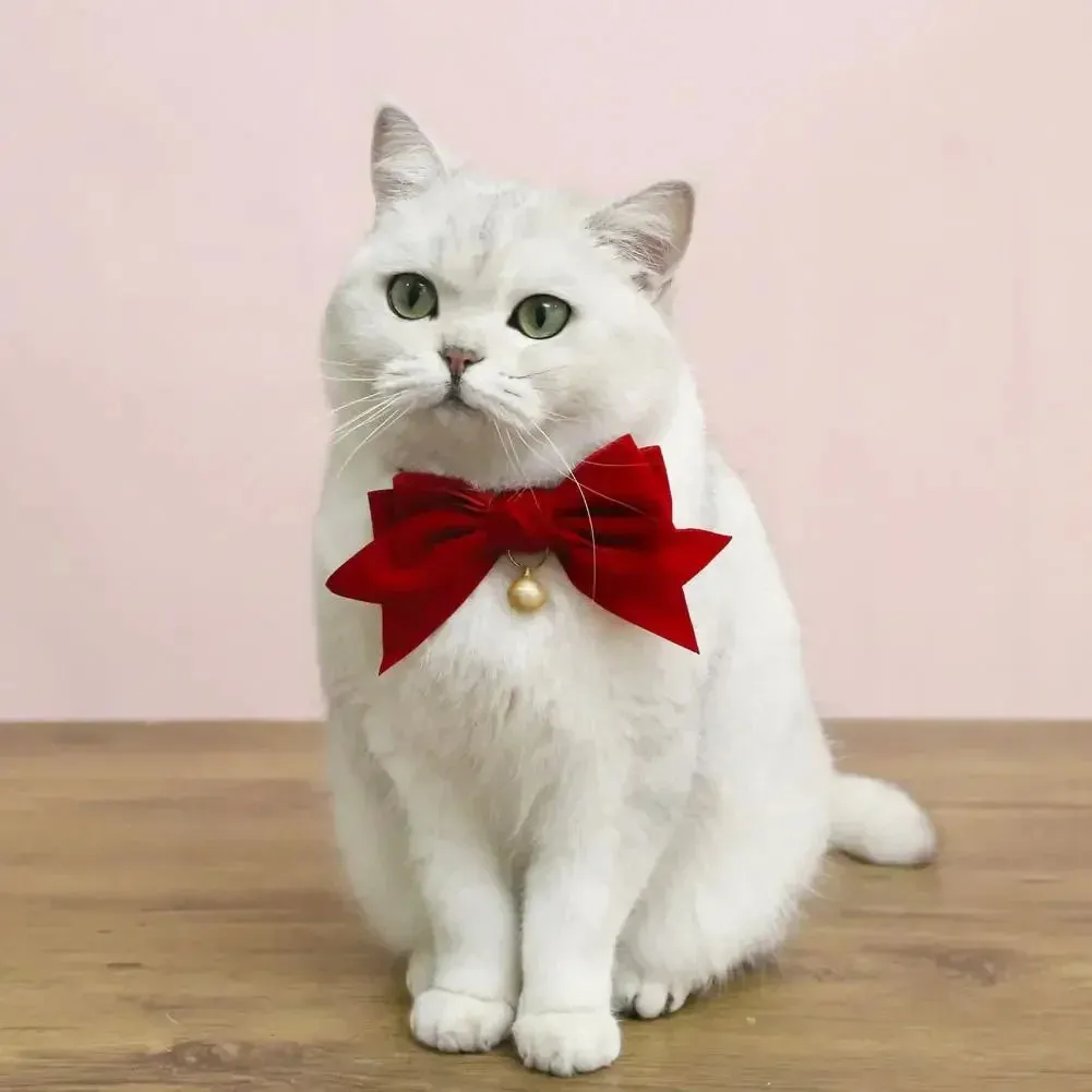 Elegant Velvet Cat Collar with Bowknot and Bell