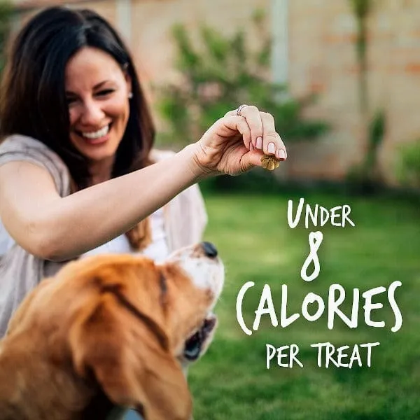 Fruitables Baked Pumpkin & Cranberry Dog Treats