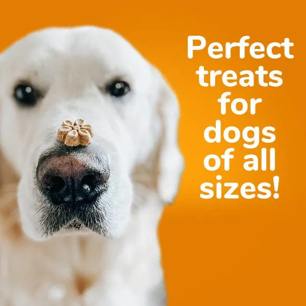 Fruitables Baked Pumpkin & Cranberry Dog Treats