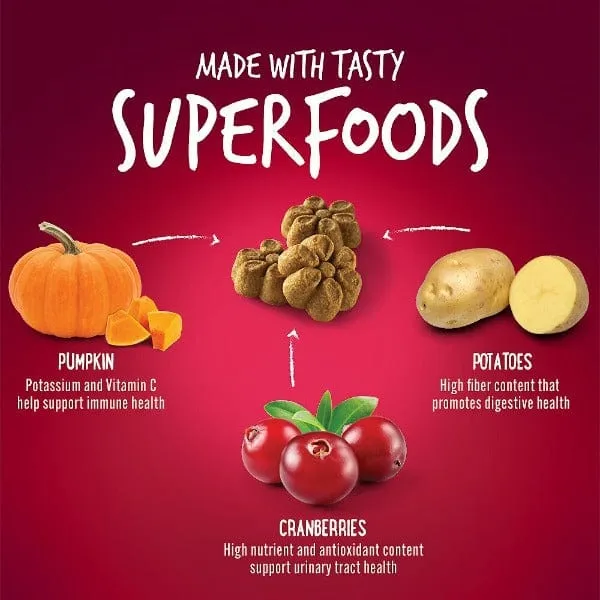 Fruitables Baked Pumpkin & Cranberry Dog Treats