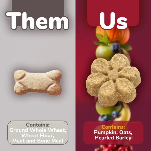 Fruitables Baked Pumpkin & Cranberry Dog Treats