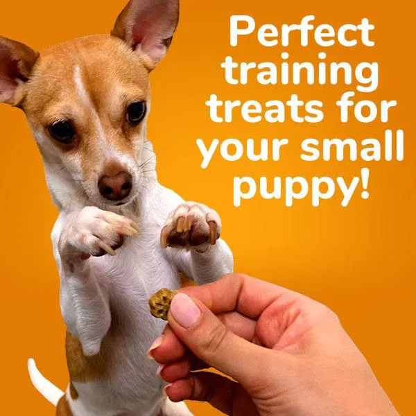 Fruitables Skinny Minis Rotisserie Chicken Dog Treats