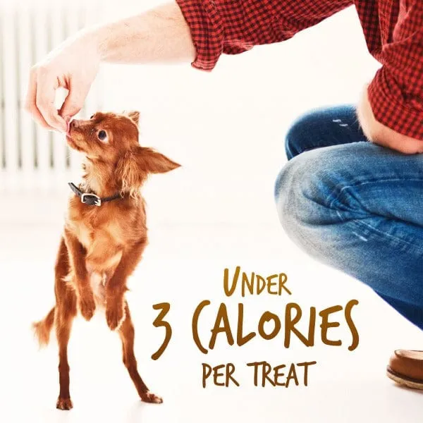 Fruitables Skinny Minis Rotisserie Chicken Dog Treats