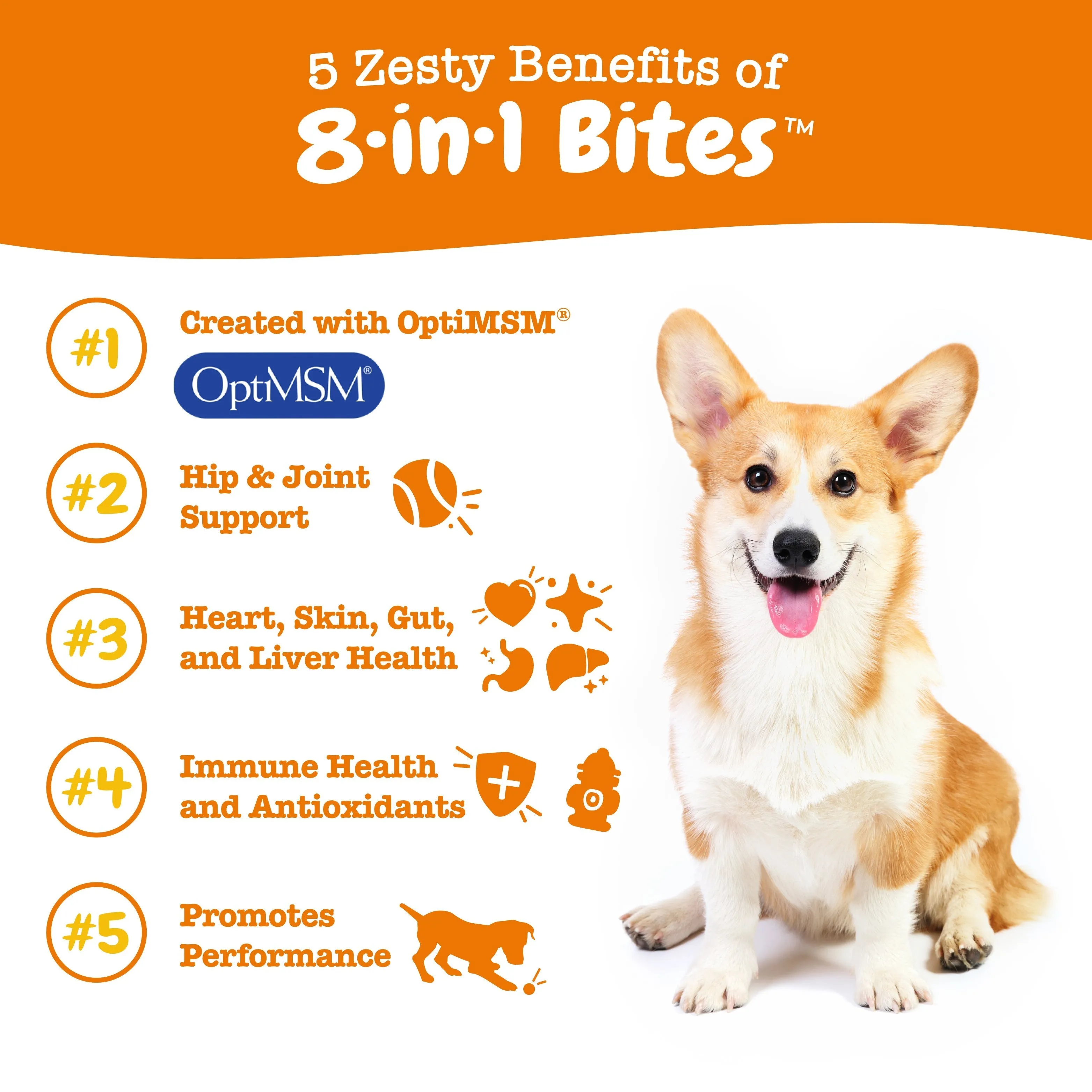Multifunctional Bites  Mobility Bites for Dogs Bundle