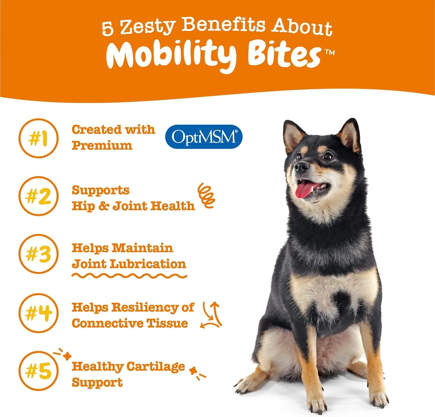 Multifunctional Bites  Mobility Bites for Dogs Bundle