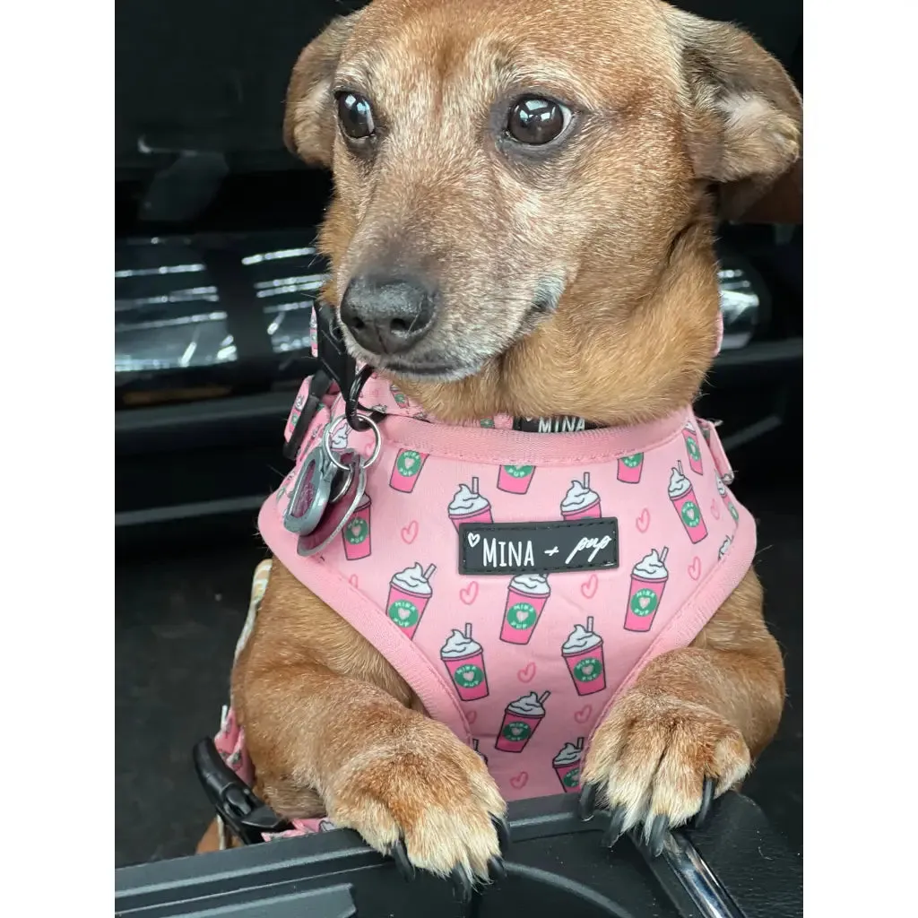 Pink Pupshake Adjustable Harness