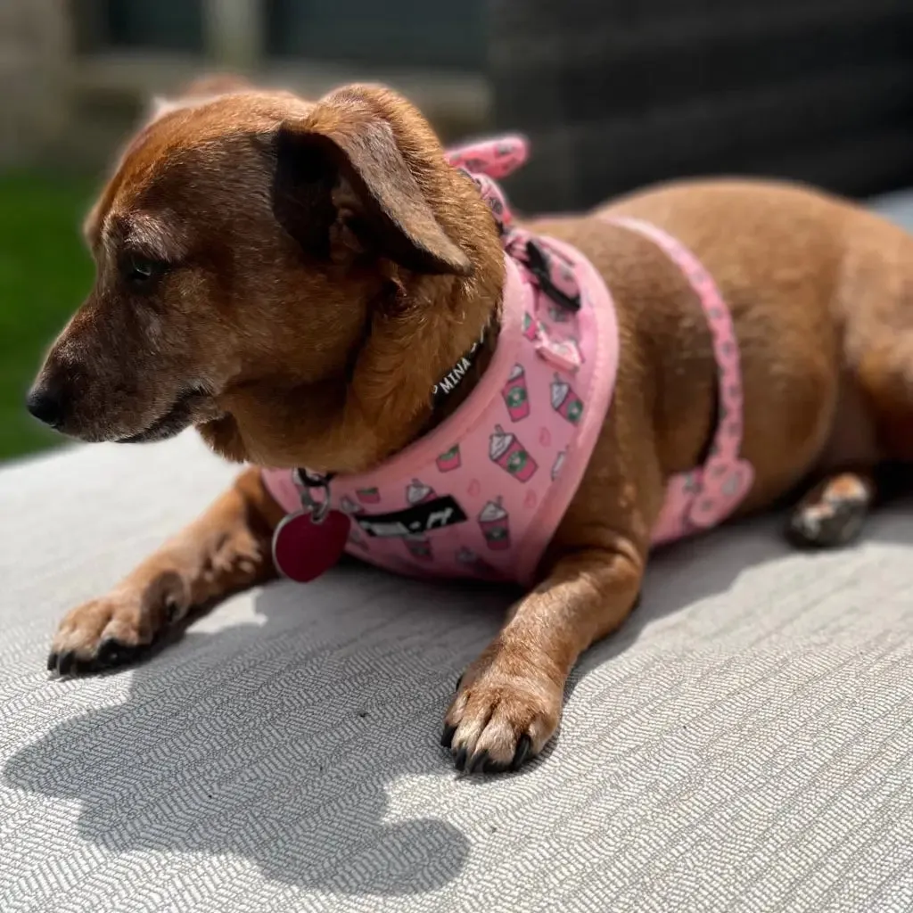 Pink Pupshake Adjustable Harness