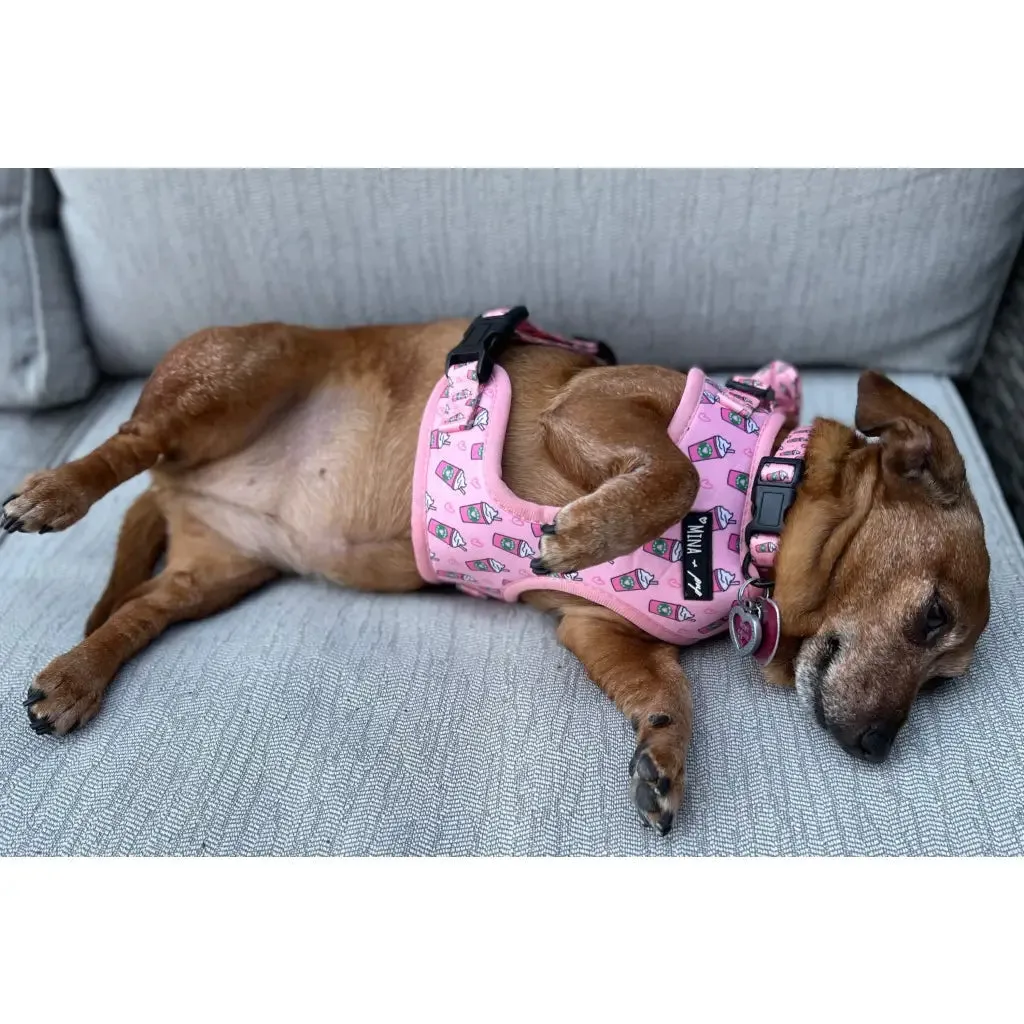 Pink Pupshake Adjustable Harness