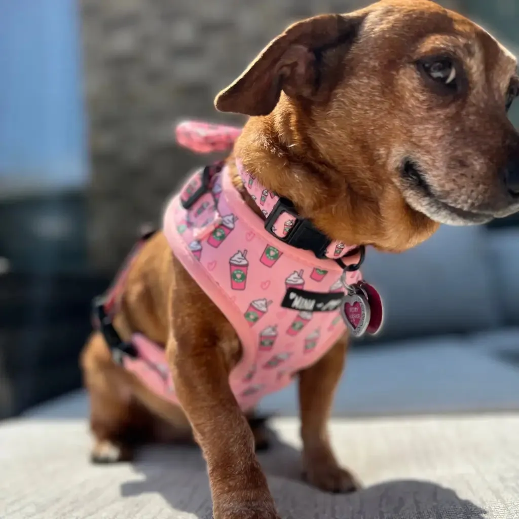 Pink Pupshake Adjustable Harness
