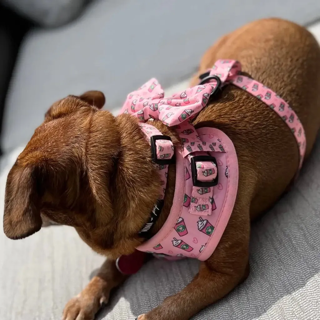Pink Pupshake Adjustable Harness