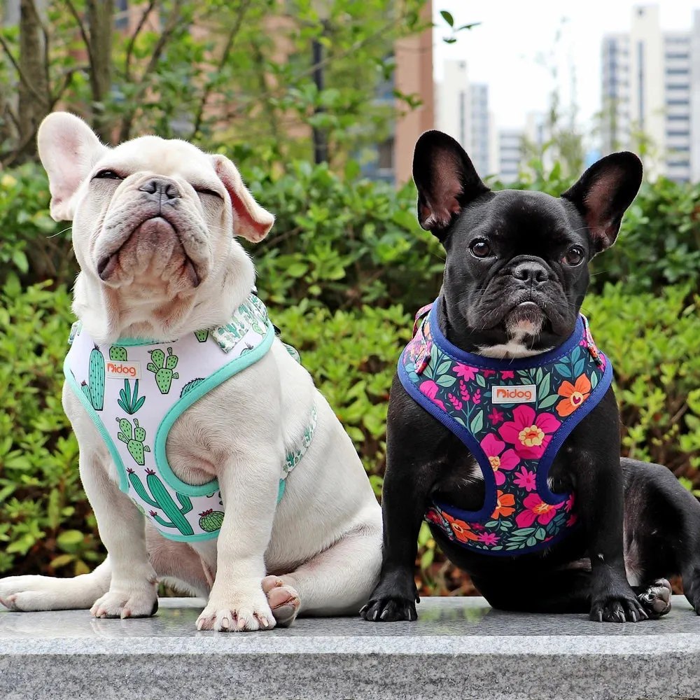 "Harness Cutie" Fun Print Pet Harnes   Leash - 4 Prints