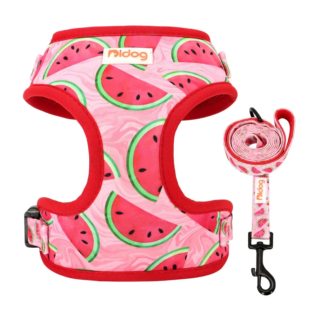 "Harness Cutie" Fun Print Pet Harnes   Leash - 4 Prints