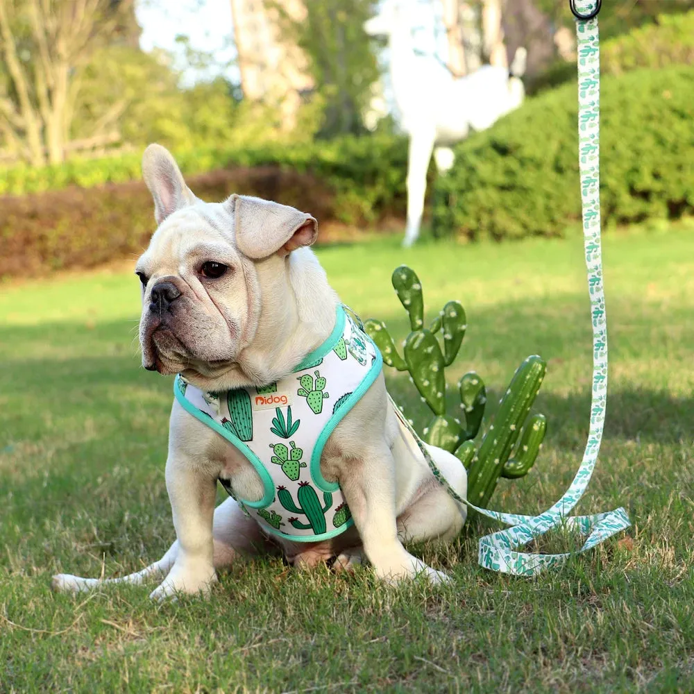 "Harness Cutie" Fun Print Pet Harnes   Leash - 4 Prints