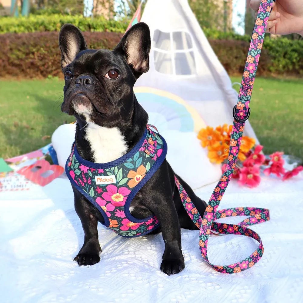 "Harness Cutie" Fun Print Pet Harnes   Leash - 4 Prints