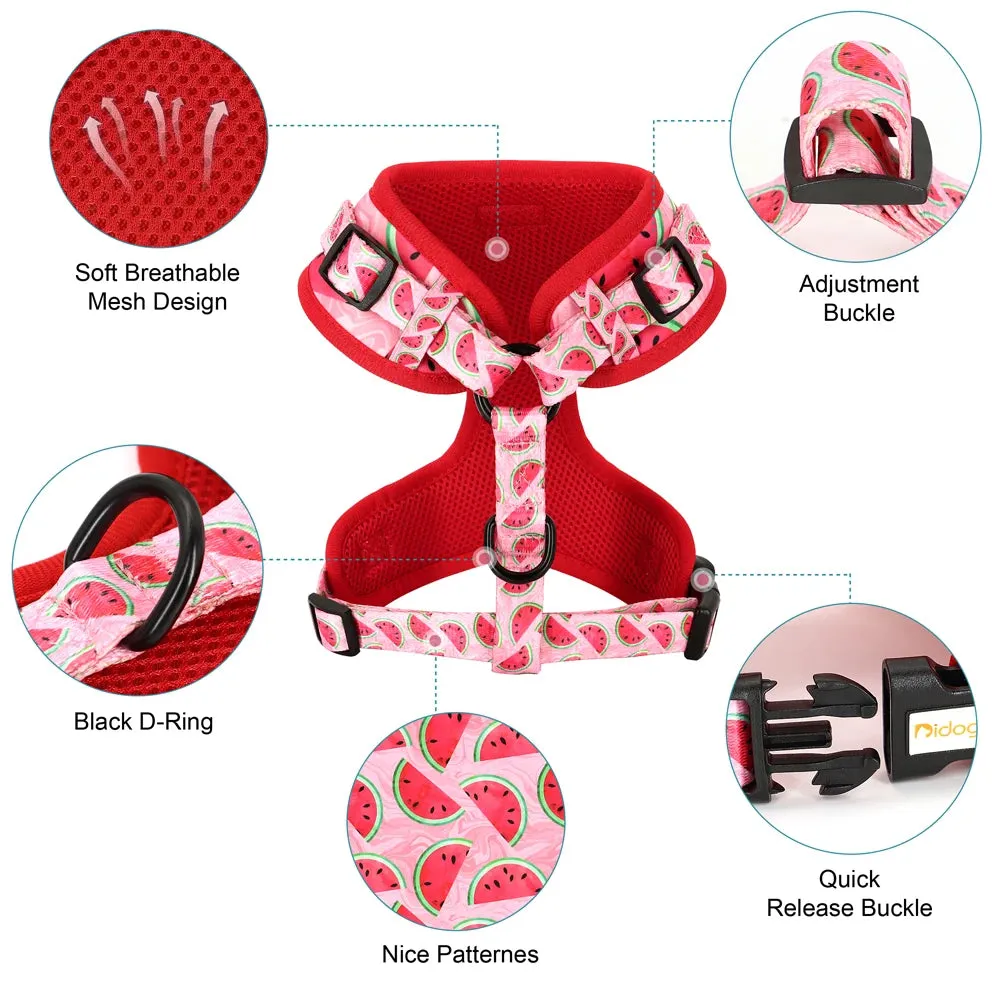 "Harness Cutie" Fun Print Pet Harnes   Leash - 4 Prints
