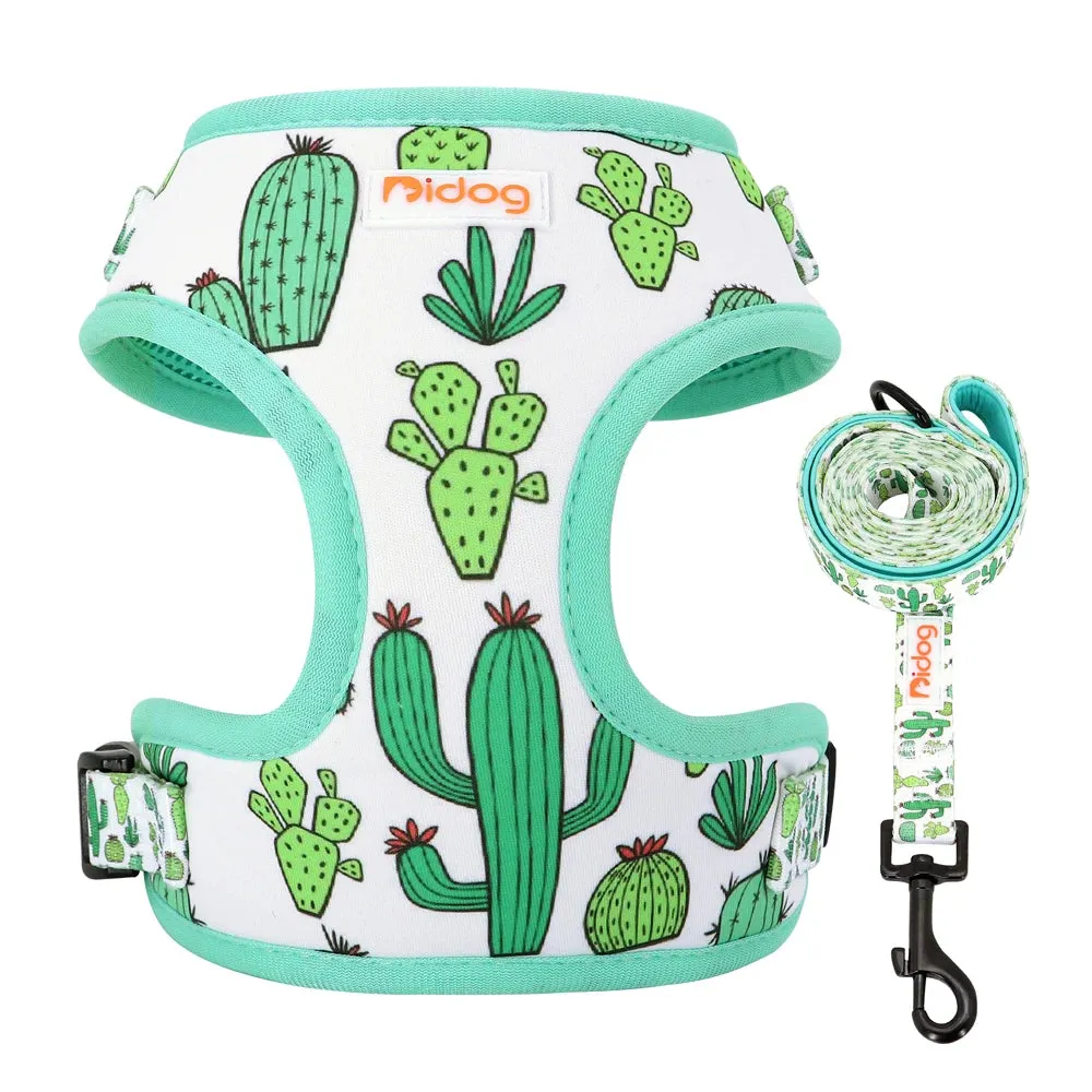 "Harness Cutie" Fun Print Pet Harnes   Leash - 4 Prints