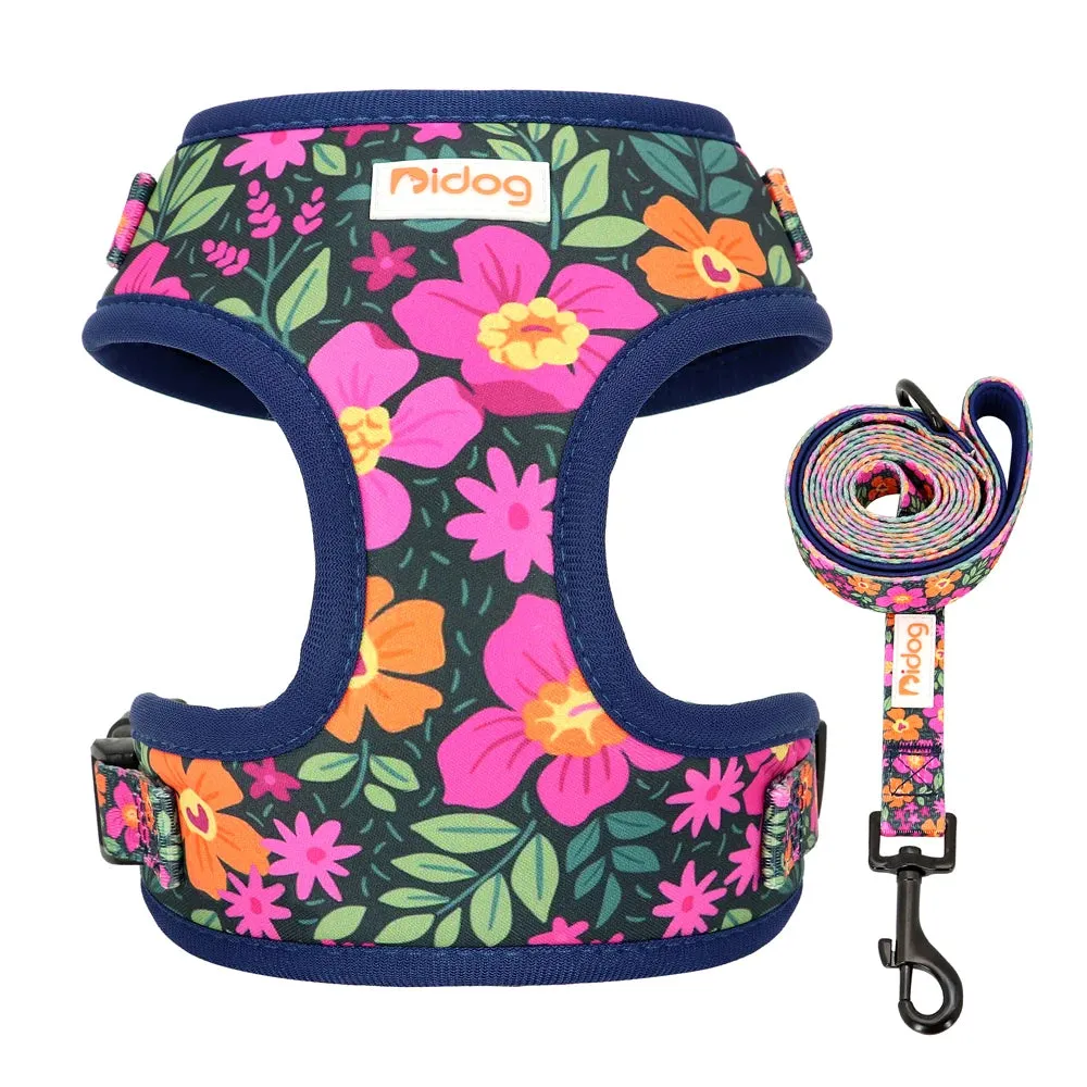 "Harness Cutie" Fun Print Pet Harnes   Leash - 4 Prints