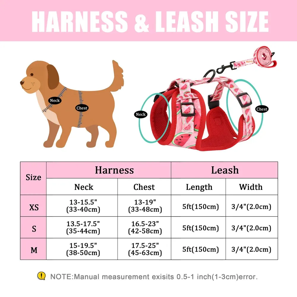 "Harness Cutie" Fun Print Pet Harnes   Leash - 4 Prints