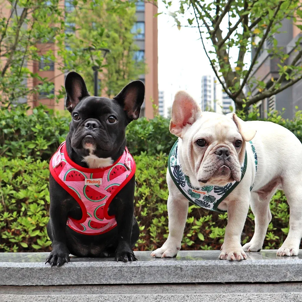 "Harness Cutie" Fun Print Pet Harnes   Leash - 4 Prints