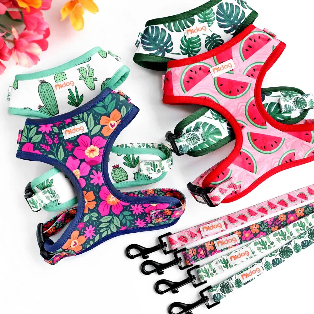 "Harness Cutie" Fun Print Pet Harnes   Leash - 4 Prints