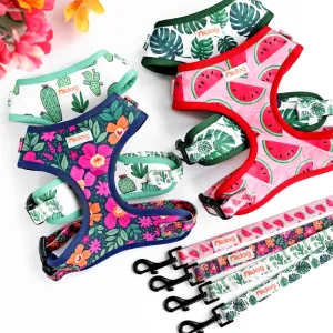 "Harness Cutie" Fun Print Pet Harnes   Leash - 4 Prints