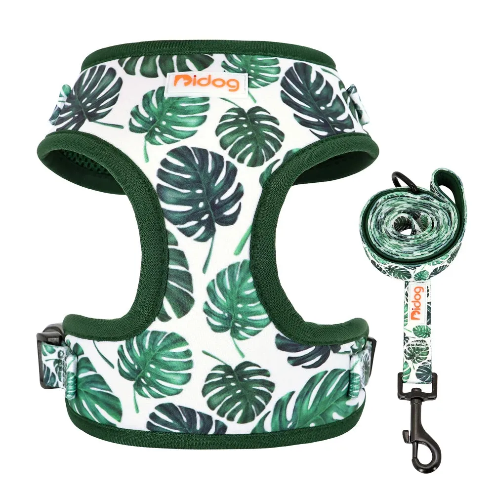 "Harness Cutie" Fun Print Pet Harnes   Leash - 4 Prints