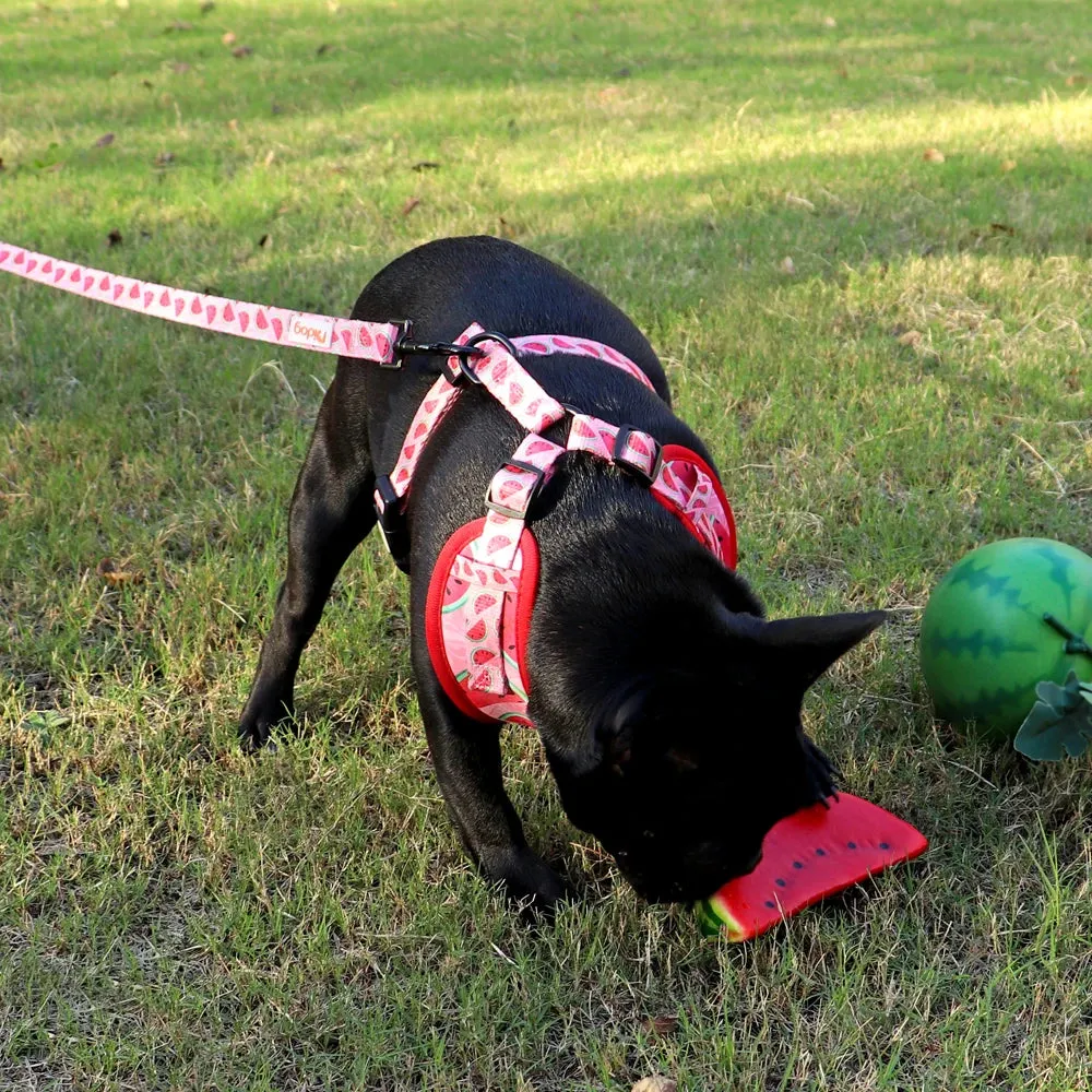 "Harness Cutie" Fun Print Pet Harnes   Leash - 4 Prints