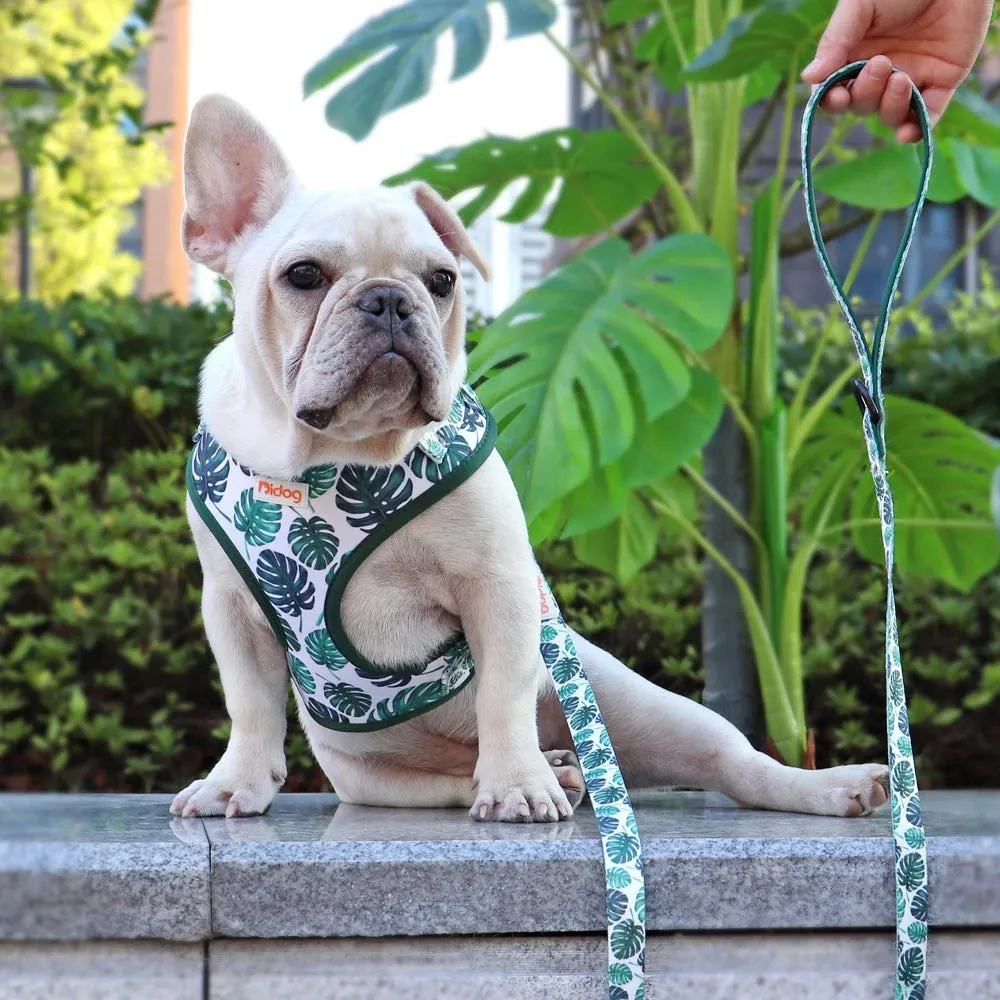 "Harness Cutie" Fun Print Pet Harnes   Leash - 4 Prints