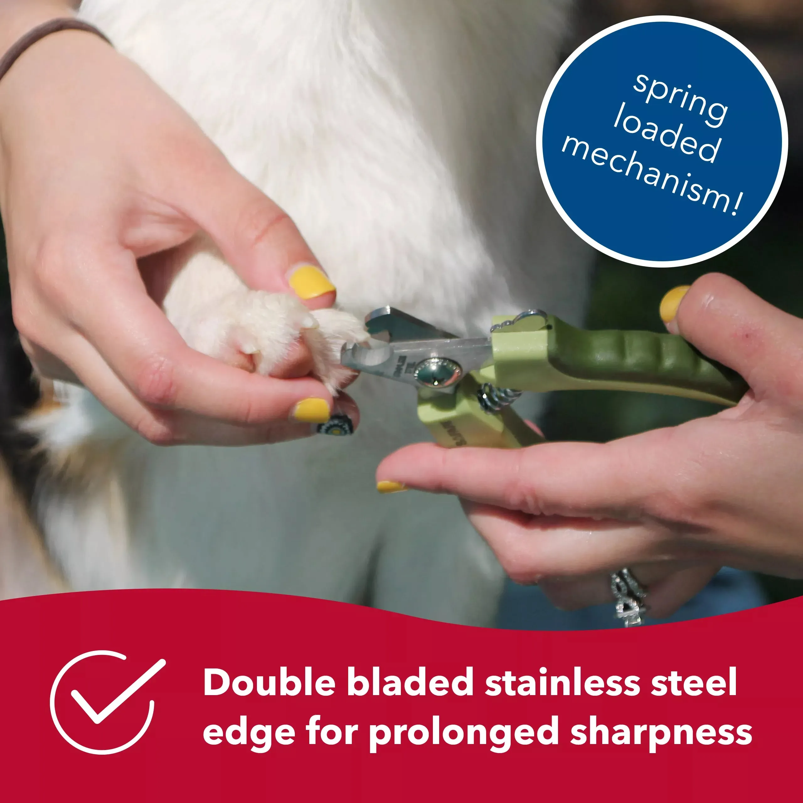 Safari Small Professional Nail Trimmer For Dogs