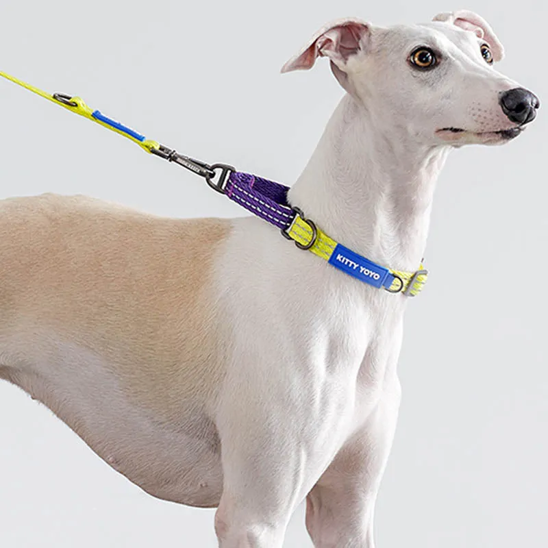 Stylish Reflective Martingale Collar for Dogs and Cats