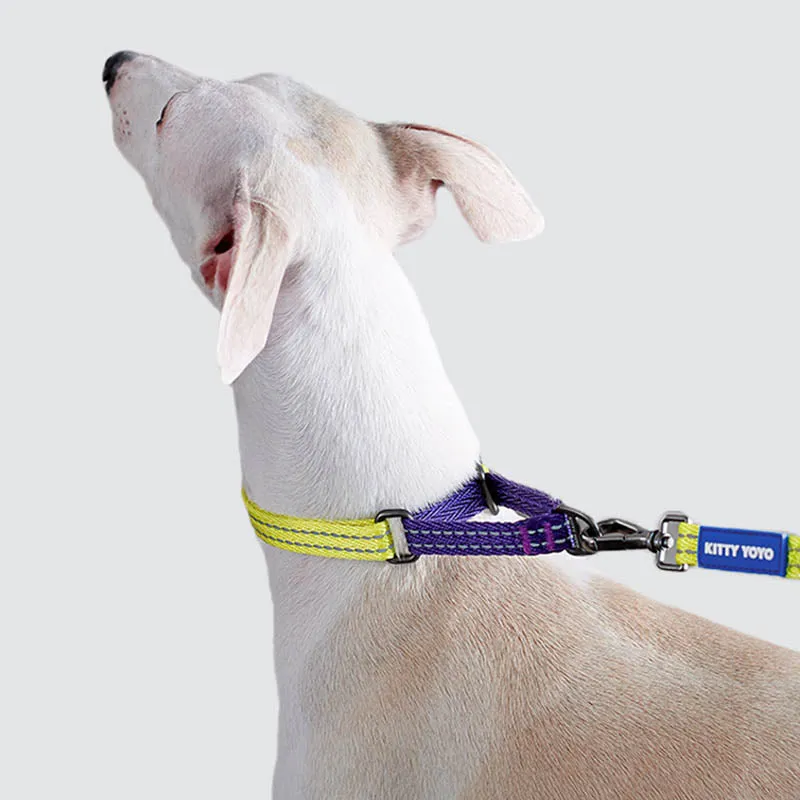 Stylish Reflective Martingale Collar for Dogs and Cats